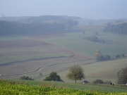 oberkinzig05.jpg