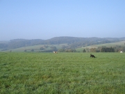 oberkinzig06.jpg