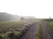 oberkinzig07.jpg