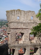 Strahlenburg in Schriesheim