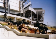 Invesco Field