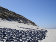09.jpg