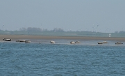 Seehundbänke vor der Insel