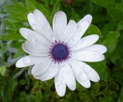 05.jpg