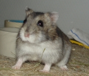 gerda01.jpg