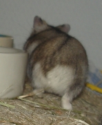 gerda02.jpg