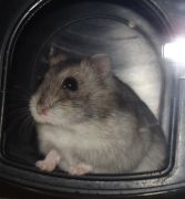 gerda04.jpg