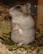 gerda11.jpg