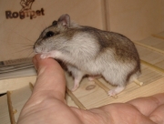 gerda16.jpg