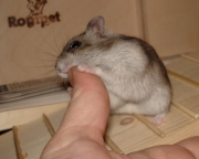 gerda17.jpg