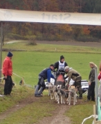 husky25.jpg