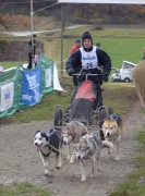 husky26.jpg