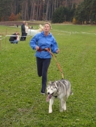 husky33.jpg