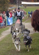 husky34.jpg