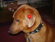 04.jpg