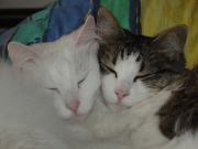 Lea und Bille