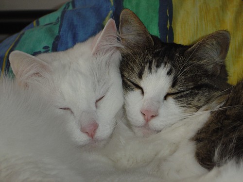 Lea und Bille