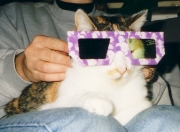 maxi04.jpg