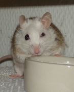 06.jpg