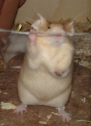 06.jpg