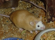 06.jpg