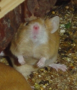 03.jpg