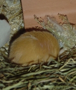 04.jpg
