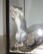 07.jpg