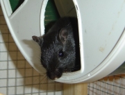 momo08.jpg