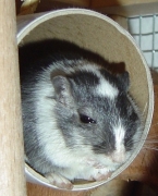 paula06.jpg