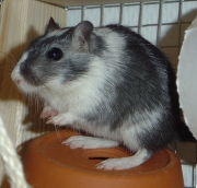 paula07.jpg