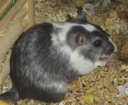paula11.jpg