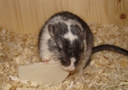 paula10.jpg