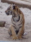 09.jpg