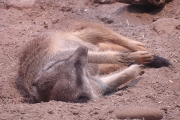 03.jpg