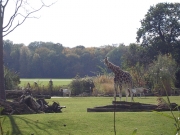 06.jpg