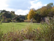 07.jpg