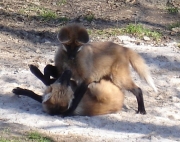 25.jpg